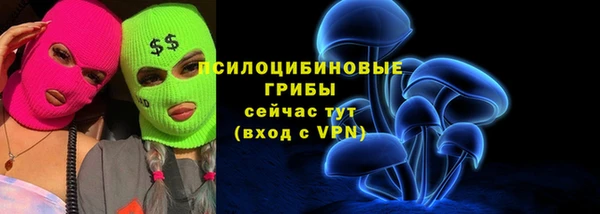бутират Алексин