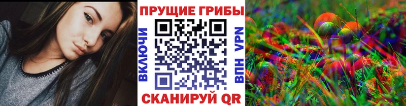 Псилоцибиновые грибы Cubensis  mega tor  Щёлкино 